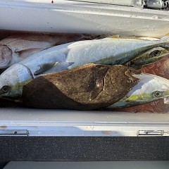 12月 18日（木）一日便・泳がせ釣りの写真その5