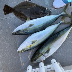 12月 18日（木）一日便・泳がせ釣りの写真その6