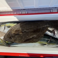 12月 18日（木）一日便・泳がせ釣りの写真その8