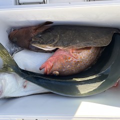 12月 18日（木）一日便・泳がせ釣りの写真その9