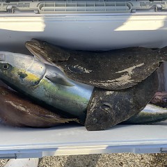 12月 18日（木）一日便・泳がせ釣りの写真その11