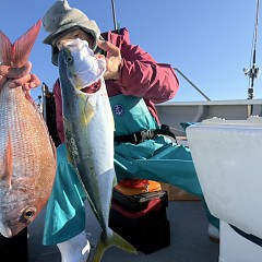 12月 18日（木）一日便・泳がせ釣りの写真その5