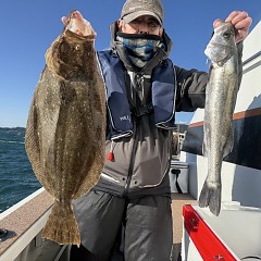 12月 18日（木）一日便・泳がせ釣りの写真その11