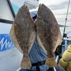12月 19日（金）一日便・泳がせ釣りの写真その4