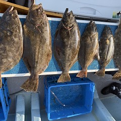 12月 19日（金）一日便・泳がせ釣りの写真その9