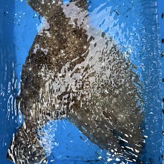 12月 19日（金）一日便・泳がせ釣りの写真その11