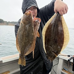 12月20日（土）午前便・泳がせ釣りの写真その3