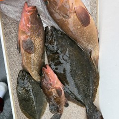 12月20日（土）午前便・泳がせ釣りの写真その8