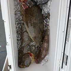 12月20日（土）午前便・泳がせ釣りの写真その9