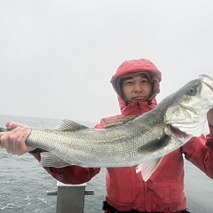 12月20日（土）午前便・泳がせ釣りの写真その9