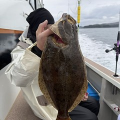 12月21日（日）一日便・泳がせ釣りの写真その7