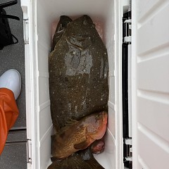 12月21日（日）一日便・泳がせ釣りの写真その8