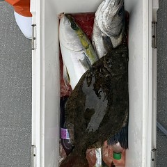 12月21日（日）一日便・泳がせ釣りの写真その9