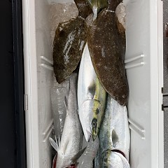 12月21日（日）一日便・泳がせ釣りの写真その10