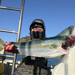 12月 22日(月)一日便・泳がせ釣りの写真その7