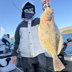 12月 22日(月)一日便・泳がせ釣りの写真その9