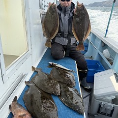 12月 23日（火）一日便・泳がせ釣りの写真その1
