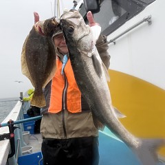12月 25日（木）一日便・泳がせ釣りの写真その9