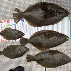 12月 25日（木）一日便・泳がせ釣りの写真その11