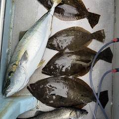 12月 25日（木）一日便・泳がせ釣りの写真その12