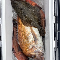 12月25日（木）午前便・泳がせ釣りの写真その3