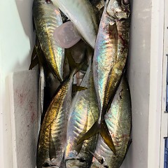 12月25日（木）午後便・アジ釣りの写真その8