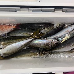 12月25日（木）午後便・アジ釣りの写真その9