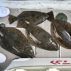 12月 27日（土）午前便・泳がせ釣りの写真その8