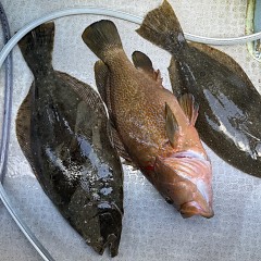 12月 27日（土）午前便・泳がせ釣りの写真その9