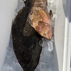 12月27日（土）午前便・泳がせ釣りの写真その9