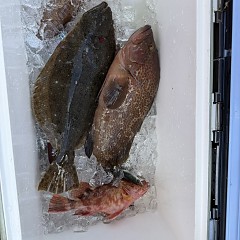 12月27日（土）午前便・泳がせ釣りの写真その10