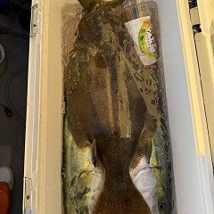 12月 28日（日）午後便・泳がせ釣りの写真その12