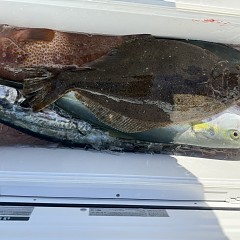 12月 31日(水)午前便・泳がせ釣りの写真その12