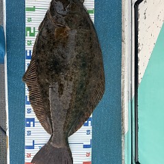 12月 30日（火）午前、午後 泳がせ釣りの写真その9