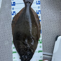 12月 30日（火）午前、午後 泳がせ釣りの写真その10