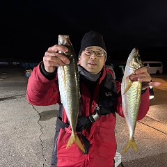 12月30日(火)午後便・アジ釣りの写真その1