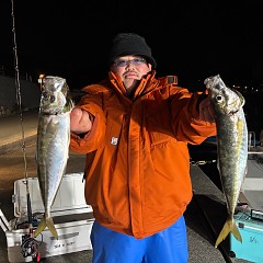 12月30日(火)午後便・アジ釣りの写真その2