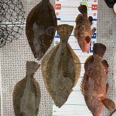 1月 3日（土）一日便・泳がせ釣りの写真その9