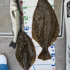 1月 3日（土）一日便・泳がせ釣りの写真その10