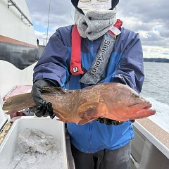 1月 3日(土)一日便・泳がせ釣りの写真その9