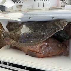 1月 3日(土)一日便・泳がせ釣りの写真その11