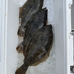 1月 3日(土)一日便・泳がせ釣りの写真その12