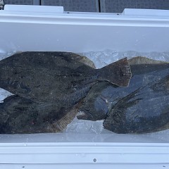 1月 8日（木）一日便・泳がせ釣りの写真その9