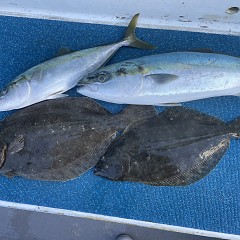 1月 8日（木）一日便・泳がせ釣りの写真その10