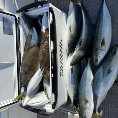 1月 9日（金）一日便・泳がせ釣りの写真その11