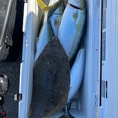 1月9日（金）午前便・泳がせ釣りの写真その6