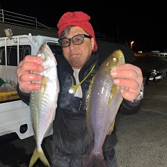 1月9日（金）午後便・アジ釣りの写真その2