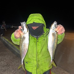 1月9日（金）午後便・アジ釣りの写真その3