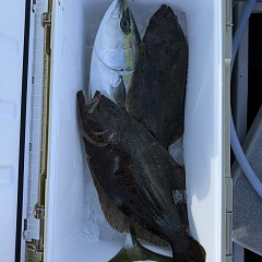 1月10日（土）午前便・泳がせ釣りの写真その5