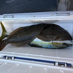 1月10日（土）午前便・泳がせ釣りの写真その6